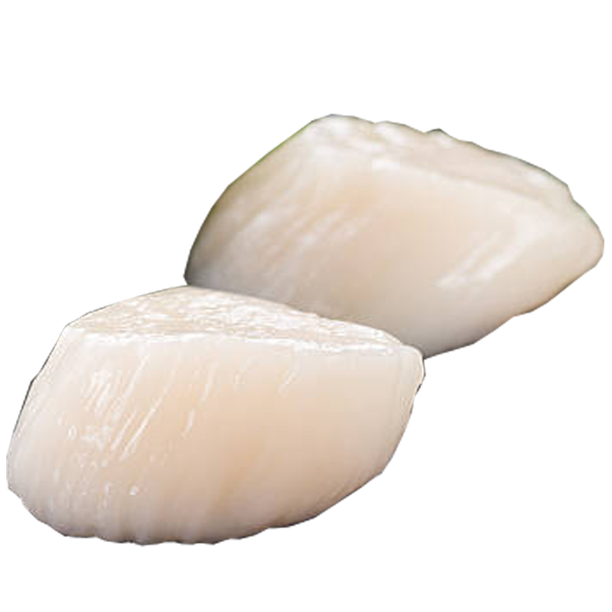 US Scallops 25 to 35 pieces per pack, 1 kg