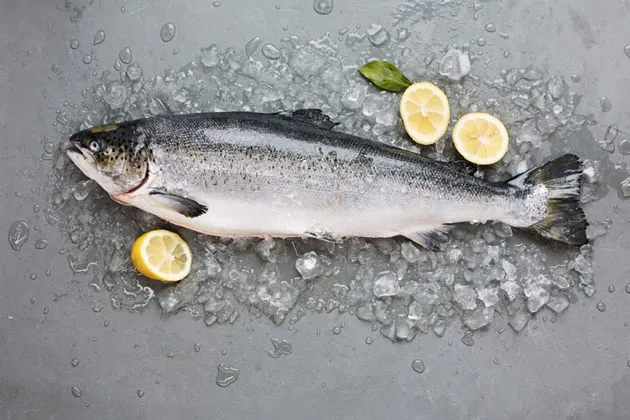 Whole Salmon 5kg to 6kg ₱795 per kilogram
