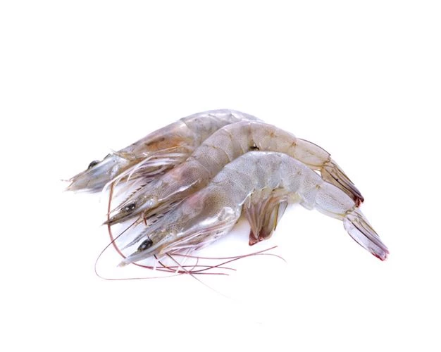 White (vannamei) Shrimp Head On 300g